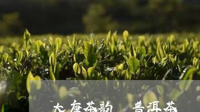 大唐茶韵 普洱茶/2023031718360